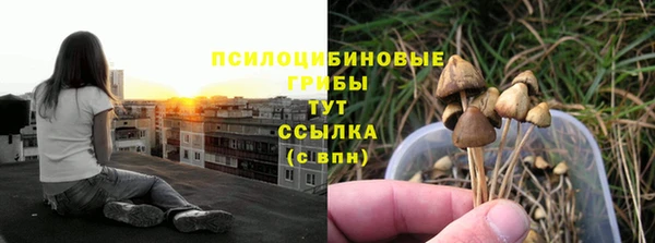 винт Абинск