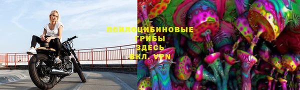 винт Абинск