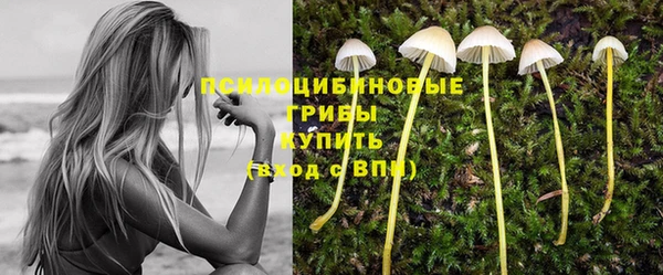 спиды Абаза