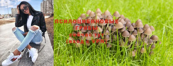винт Абинск