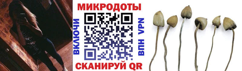 хочу   Североморск  Галлюциногенные грибы MAGIC MUSHROOMS 